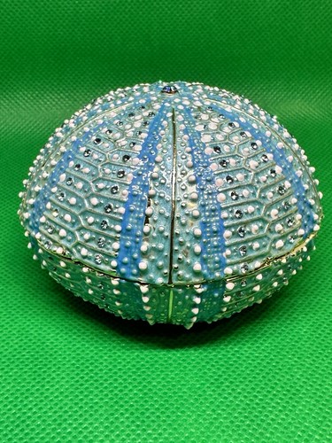 Sea urchin bejewelled - urchin,