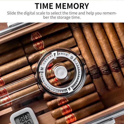 Cigarloong cigar humidor with - cigar,