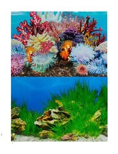 Aquarium Fish Tank Background