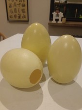 Real Ostrich/Rhea Egg, Decoupage, Paint, Pretend Dino egg, strong!  price for 1 
