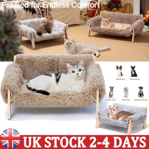Elevated pet dog cat - pet,