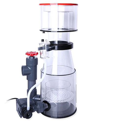 Octopus classic 200int protein - octopus,