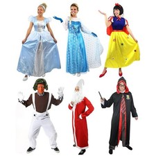ADULT CHARACTER FANCY DRESS