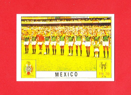Panini fifa world cup - panini,