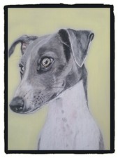 Whippet  - Original Painting