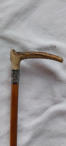 Antique womans cane riding - antique,