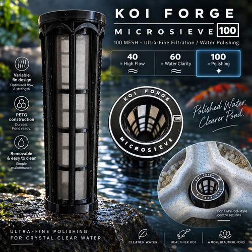 Koi pond filter sieve - koi,