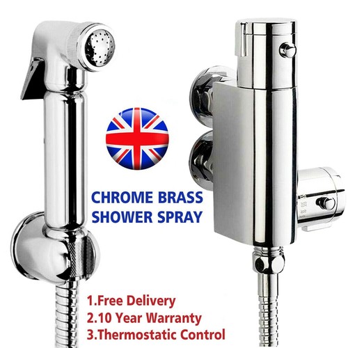 Thermostatic mixer bidets - thermostatic,