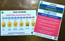 A5 Pain Scoring / Entonox