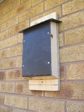 Wooden Bat  Box Roost House