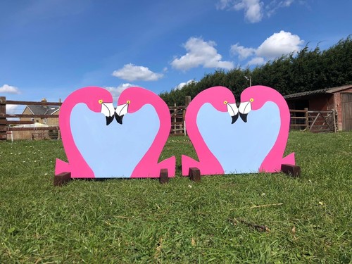 Flamingo show jump fillers - jump,