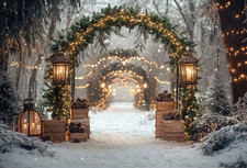 Photography Background Winter Christmas Forest Glitter Snow Xmas Tree