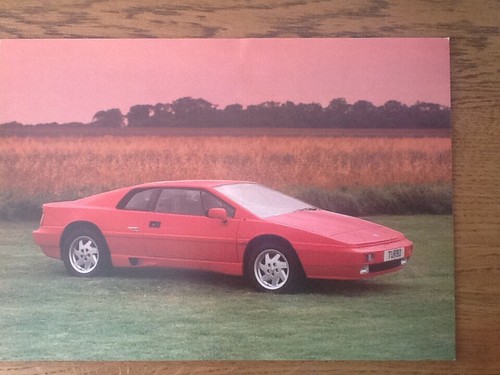 Lotus esprit turbo sales - turbo,