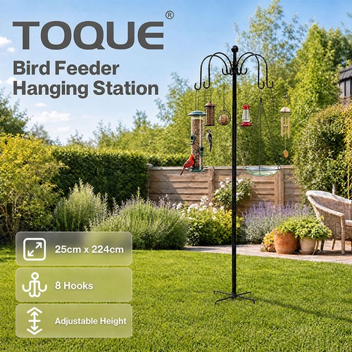 Toque bird feeding - bird, station