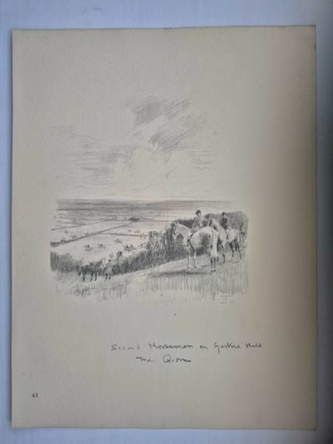 Antique pencil drawing fox - antique,