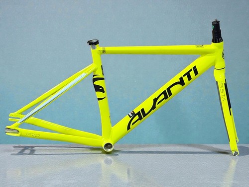 Avanti pista track frameset - avanti,