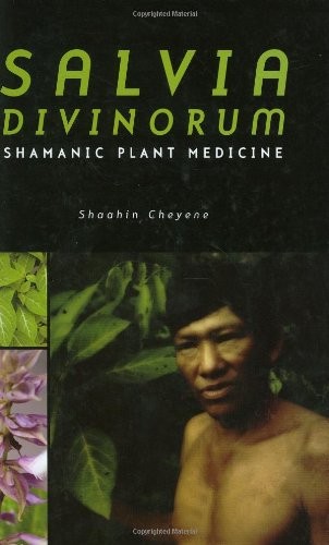 Salvia divinorum shamanic - divinorum:,