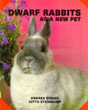 Dwarf rabbits as a new pet -