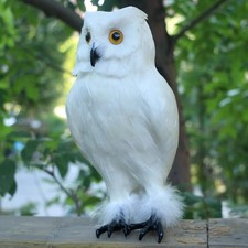 Realistic Feathered Owl