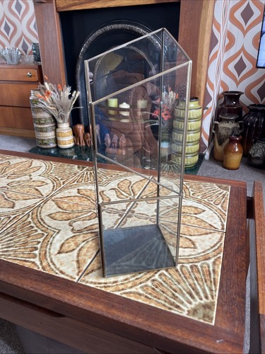 Vintage plant orchid - vintage, terrarium
