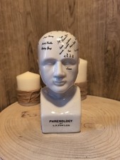 Ceramic Phrenology Head Ornament - 20cm Medical Bust - Crackle Glazed Finish