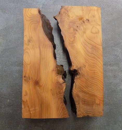 Two interesting character yew - character,