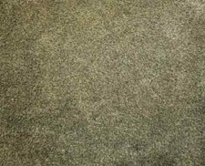 Turtle mat dirt trapper - turtle,