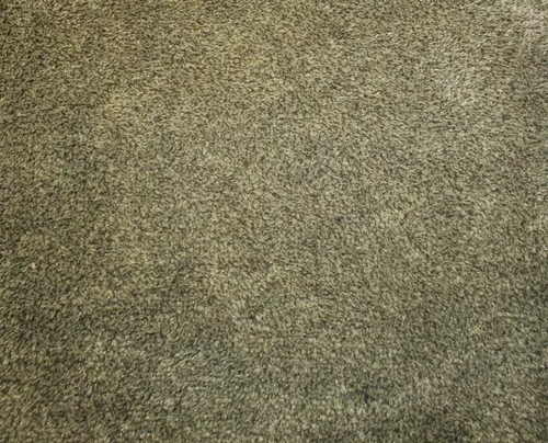 Turtle mat dirt - turtle,