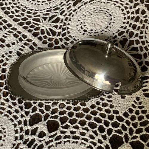Albany plate silver - albany,