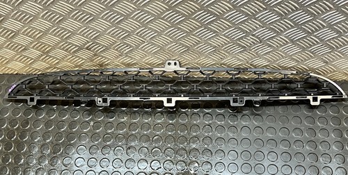 Genuine jaguar type - jaguar, f-type