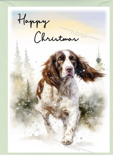 English springer spaniel dog - english,