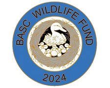 BASC WILDLIFE FUND 2024 MALLARD BIRD IN NEST TUBE ENAMEL BADGE WAGBI WILDFOWLING