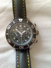 Seiko Men's Solar Divers Watch