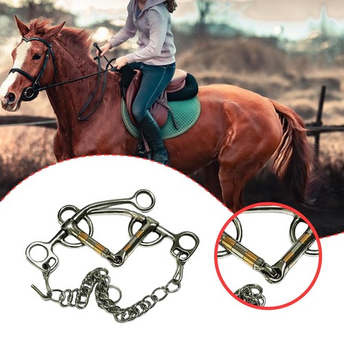 Horse riding bit - riding,
