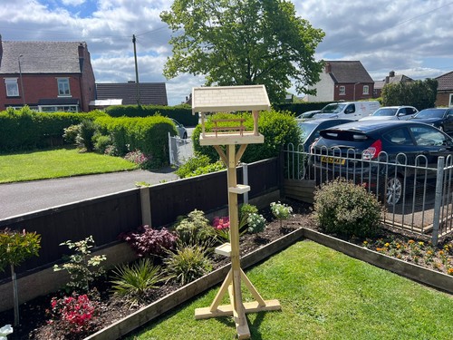 Bird table - bird,