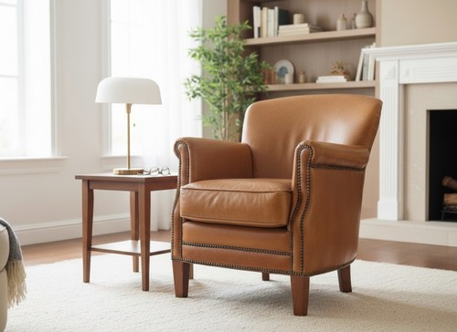 Professor armchair vintage - armchair,