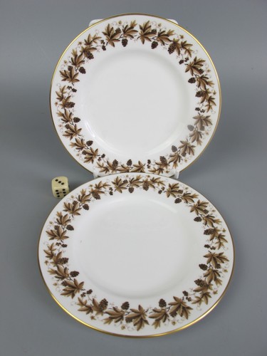 Wedgwood autumn vine plates - wedgwood,