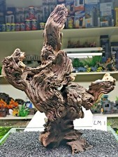Large Mopani wood x1 FOR AQUARIUM, vivarium AQUASCAPING, bogwood
