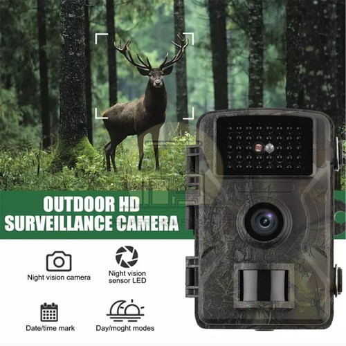 Wildlife hunting trail camera - wildlife,