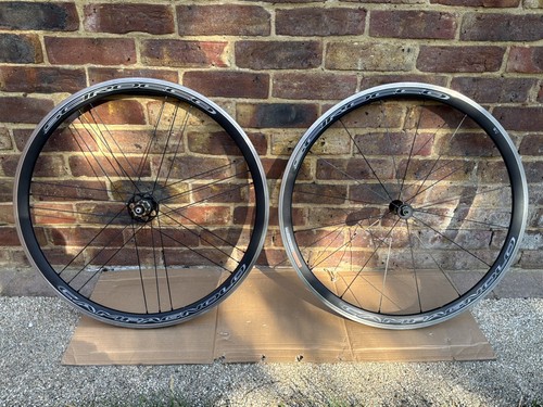 Campagnolo scirocco c17 rim - c17,