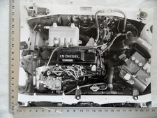 Photo Photograph Photograph