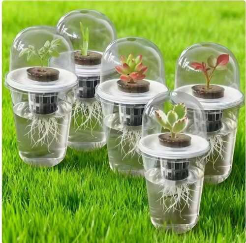 Pcs visible hydroponic seed - visible,