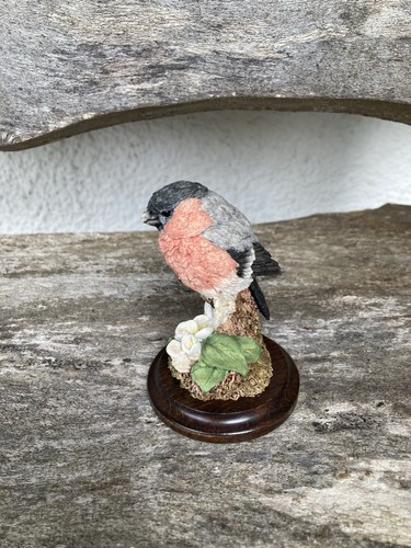 Country artist bullfinch - country,