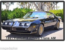 1981 Pontiac Firebird Trans Am
