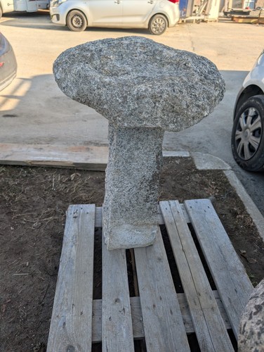 Granite mushrooms - granite,