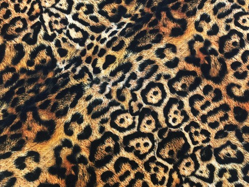 Upholstery leopard digital - upholstery,