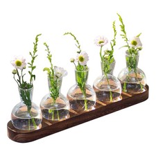 Plant Propagation Station Desktop Bulb Glass Vase Wooden Stand Hydroponics Decor