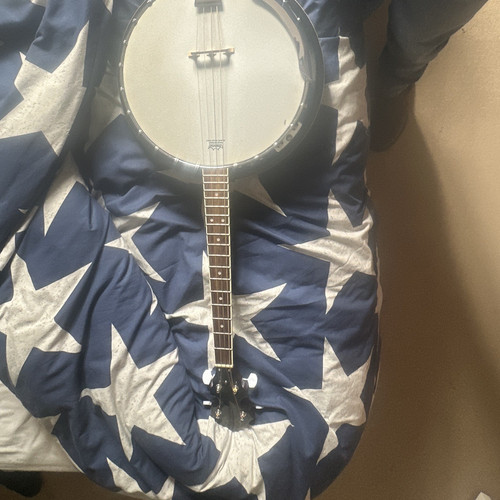 String tenor banjo - tenor, closed