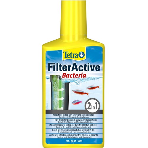 Tetra filter active live - active,