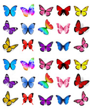 Mixed Colours Butterflies x 30